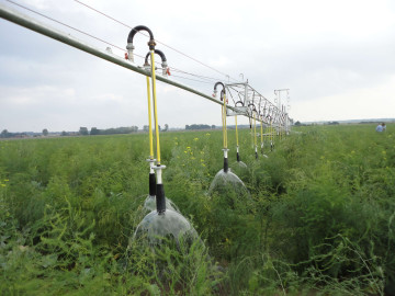 R50 2 with Senninger LEPA system on asparagus Poland